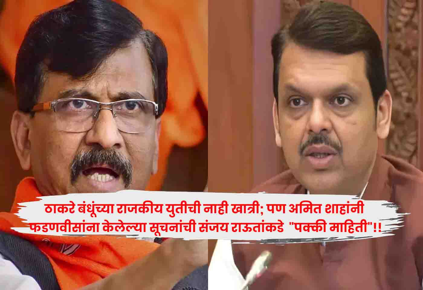 Sanjay Raut Fadnavis