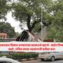 Ahmedabad Plane Crash