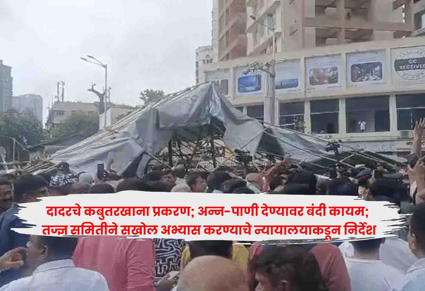 Pigeons at Dadar