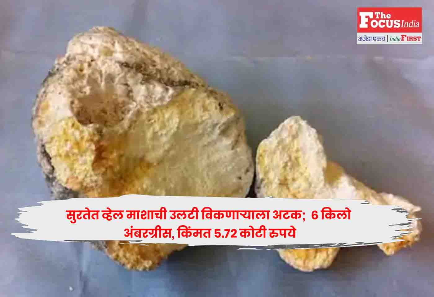 whale vomit