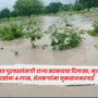 State Government