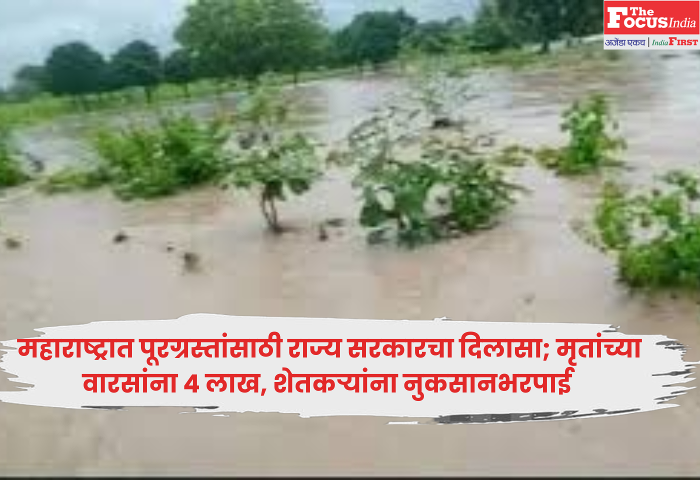 State Government
