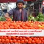 Pakistan Tomato