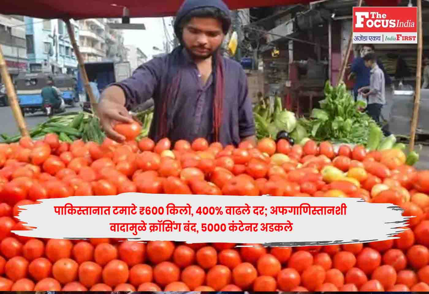 Pakistan Tomato