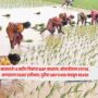Kharif Crop