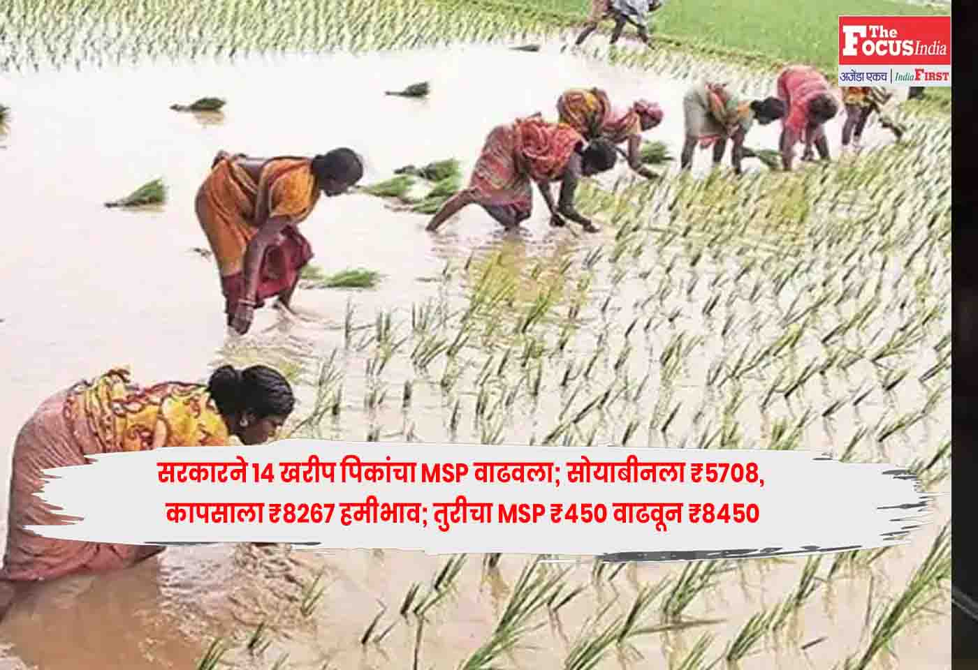 Kharif Crop