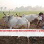 Relief for Farmers