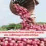 Onion Farmers