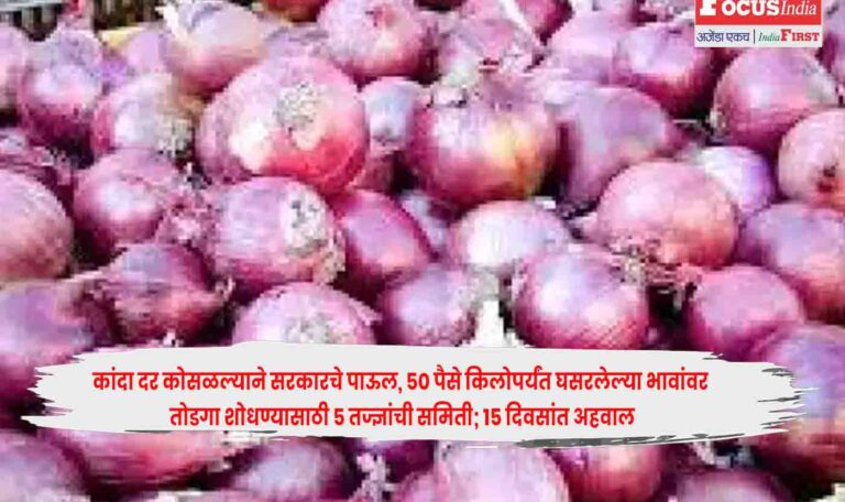 Onion Price