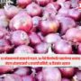 Onion Price