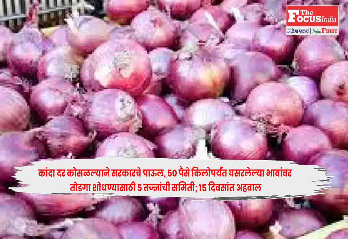 Onion Price