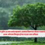 Maharashtra Rain Alert