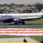 Indigo Jet