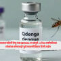 QDENGA