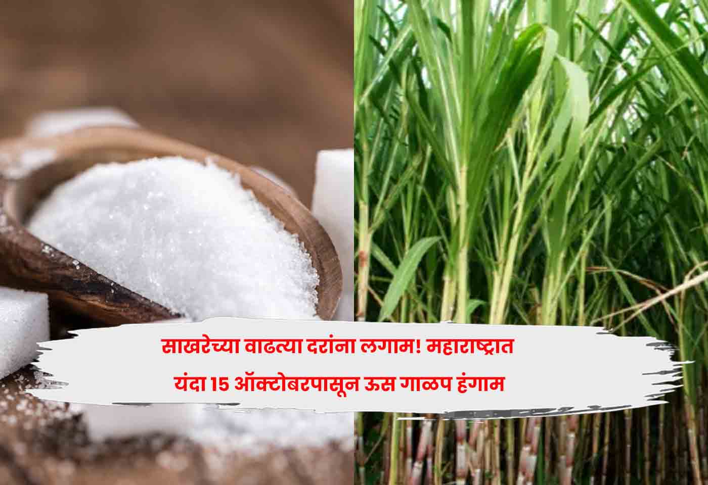 sugar prices