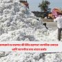cotton prices