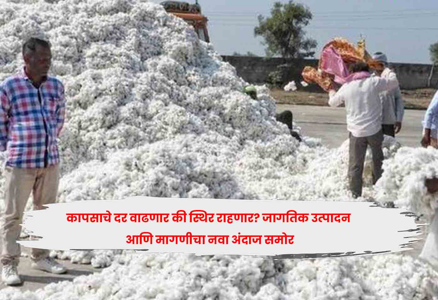 cotton prices